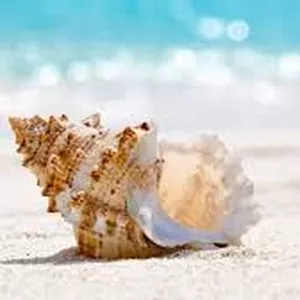 Imagen de portada para Curso online 6 sesiones Hipnosis