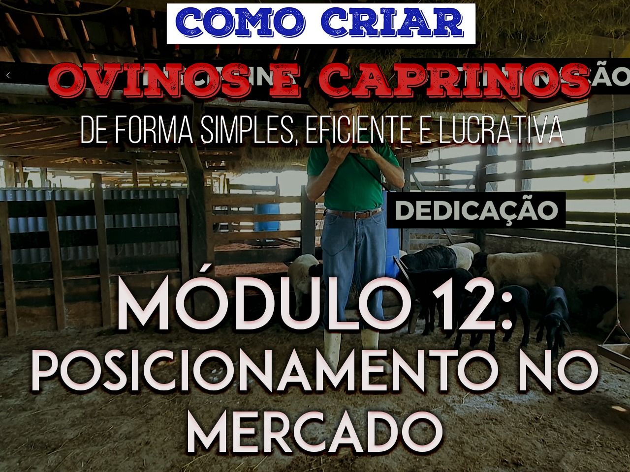 Imagem do curso Curso - POSICIONAMENTO NO MERCADO DE OVINOS E CAPRINOS