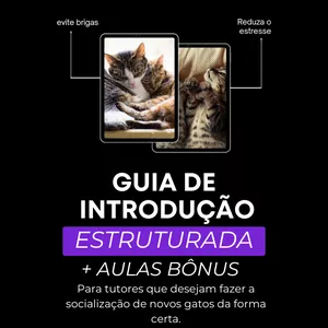 Curso Guia de Introdução Estruturada + aulas bônus