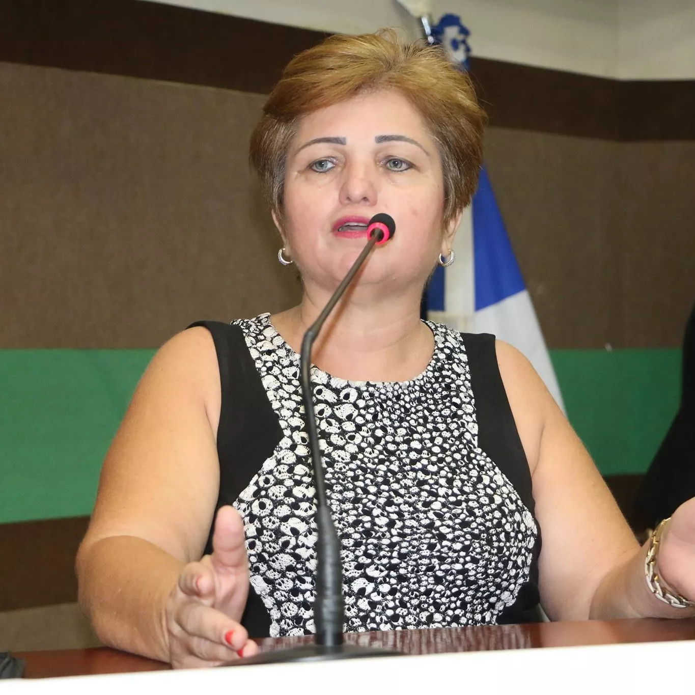 Estratégias de Captação de Recursos para FIA e FID Durante a Declaração de Imposto de Renda — imagem 2