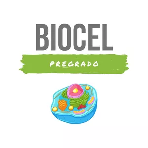 Imagen de portada para Ebook APUNTE DE BIOLOGIA CELULAR (pregrado)