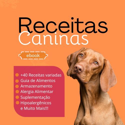 E-book 4