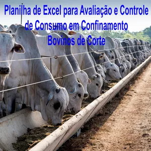 Imagem de capa para o Curso online Planilha de Excel para Avaliação e Controle de Consumo em Confinamento - Bovinos de Corte