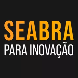 Imagem de capa para o Curso online Seabra para Inovação