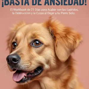 Imagen de portada para Curso online ¡BASTA DE ANSIEDAD!