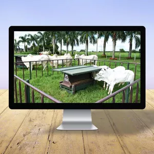 Imagem de Curso Online de Implantação de Creep Feeding em Fazendas de Gado de Corte criado por Klick Media Empreendimentos Digitais na hotmart