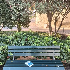 Imagem de capa para o Curso online Encontros no conto