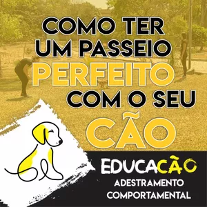 Curso COMO TER UM PASSEIO PERFEITO COM O SEU CÃO