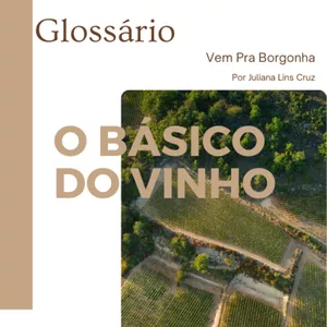 Imagem de capa para o Ebook Glossário - Palavras Básicas do Mundo do Vinho