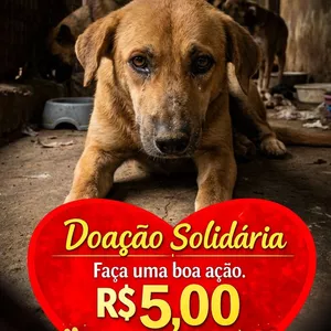 Imagem de capa para o Curso online Doação Solidaria