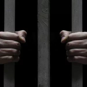 Imagem de capa para o Ebook Estado e criminalidade: Causa e efeito?