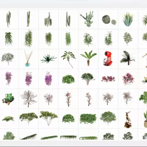 Imagem de capa para o Curso online Biblioteca de Ativos