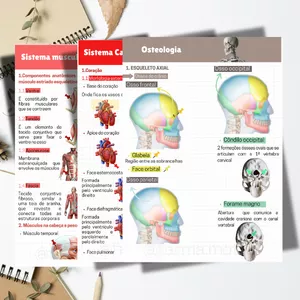 Imagem de capa para o Ebook Guia de anatomia para aula/prova prática