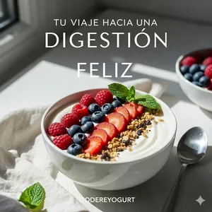 Imagen de portada para Ebook Tu viaje hacia una digestion feliz. Recetario