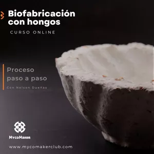 Imagen de portada para Curso online 🍄Biofabricación con micelio de hongos | MICOTECTURA