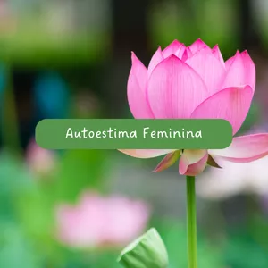 Imagem de capa para o Curso online Autoestima