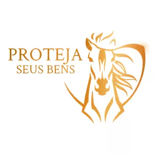 Imagem de capa para o Serviço online Croqui Estrutural - Proteja seus Bens