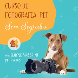 Imagem do curso Curso de Fotografia Pet - Sem Segredos