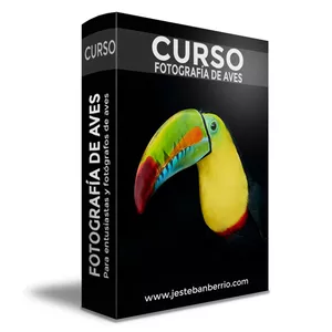 Imagen de portada para Curso online Fotografía de aves para entusiastas y fotógrafos