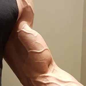 Imagem de capa para o Curso online Treino para Bíceps, Tríceps e Antebraço (treino completo)