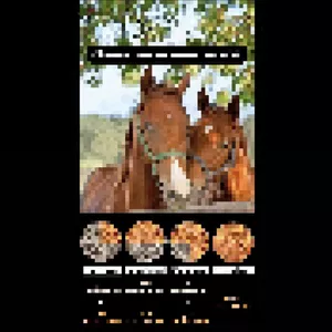 Imagem de capa para o Ebook Manual Equino para Troca de Ração