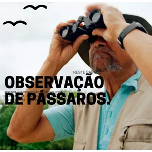 Imagem de capa para o Curso online OBSERVAÇÃO DE PÁSSAROS. ( Birdwatching ).