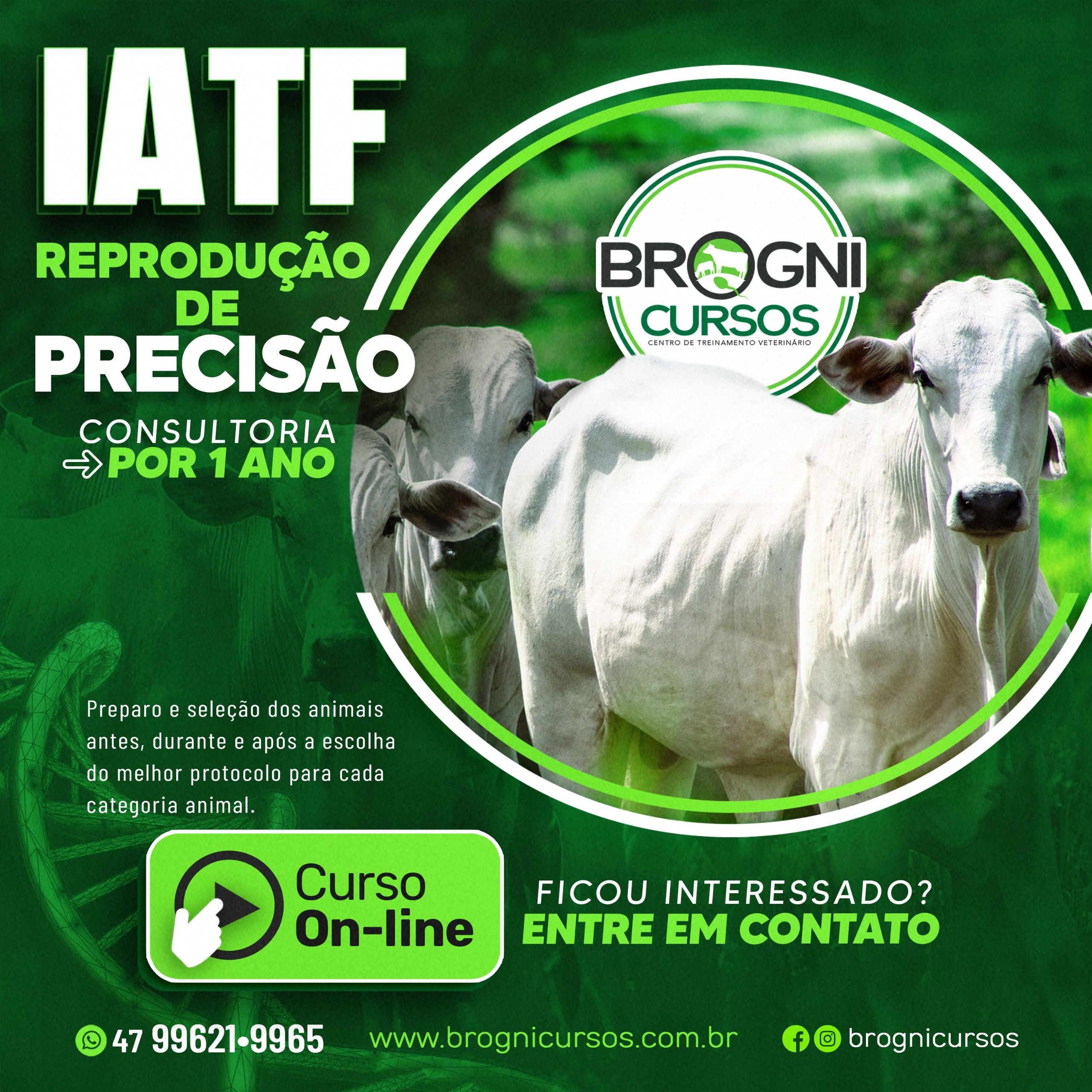 Imagem do curso IATF – REPRODUÇÃO DE PRECISÃO MÉTODO BROGNI