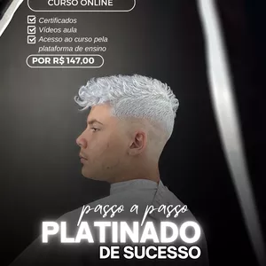 Imagem de capa para o Curso online Platinado de Sucesso 