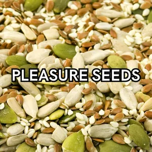 Cover image for Ebook  Pleasure Seeds