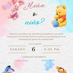 Imagen de portada para Ebook Invitación de revelación de género 