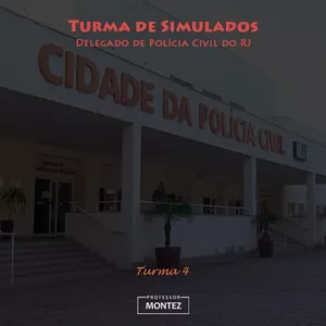 Imagem de capa para o Curso online Turma de Simulados - DPC/RJ - 4ª edição