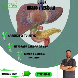 Imagen de portada para Curso online Detox de Higado y vesicula Opcion 1