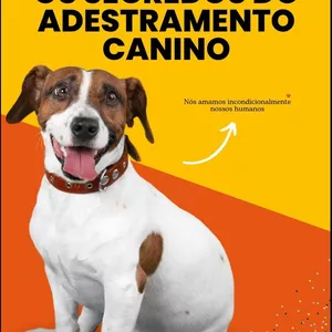 Imagem de capa para o Ebook Os segredos do Adestramento Canino