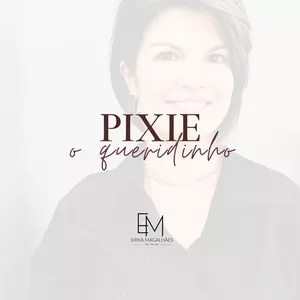 Imagem de capa para o Curso online Corte Pixie - O Queridinho do Momento 