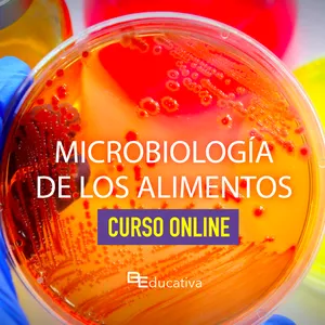 Imagen de portada para Curso online Curso Online - Microbiologia de los Alimentos