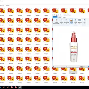 265 mil fotos de produtos + WebService feito em Horse/Delphi