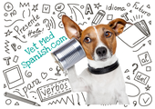 Conversational Spanish in Veterinary Medicine logo