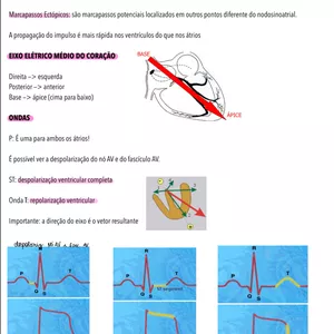 Imagem de capa para o Ebook Resumo Eletrocardiograma
