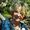 Anke Otto-Wolf
