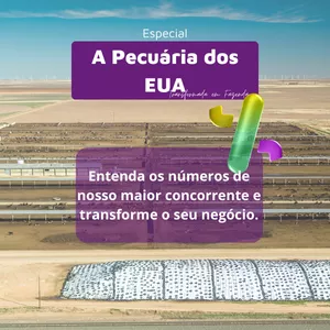 A Pecuária Americana Transformada em Fazenda