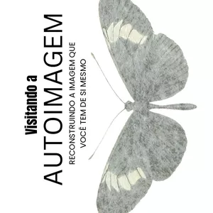 Imagem de capa para o Curso online LIVRO Visitando a AUTOIMAGEM Reconstruindo a imagem que você tem de si mesmo 