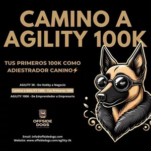 Imagen de portada para Curso online Camino a AGILITY 100K