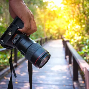 Cover image for Online course Professional Photography 