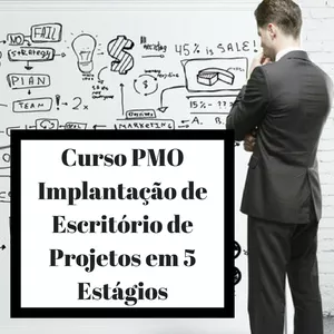 Imagem de capa para o Curso online Curso PMO – Implantação de Escritório de Projeto