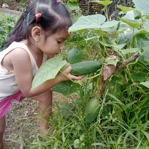 Imagen de portada para Curso online Asesoría en trabajos agrícolas y jardín 