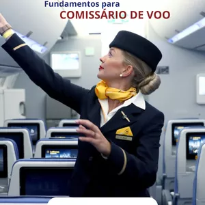 Imagem de capa para o Ebook Comissário Aprovado