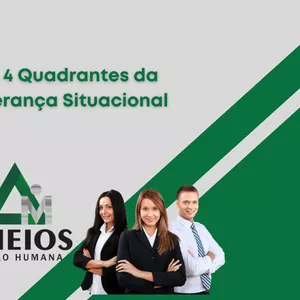 Imagem do curso Liderança Situacional