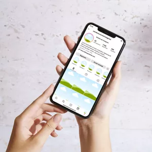 Imagen de portada para Curso online Plantilla en Canva para Feed de Instagram