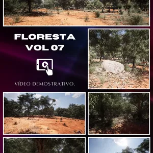 Imagem de capa para o Curso online FLORESTA VOL 07