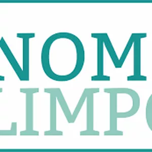 Imagem de capa para o Ebook NOME LIMPO? RÁPIDO E FÁCIL